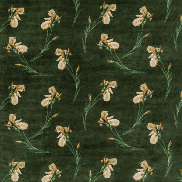 G P & J BAKER SIGNATURE VELVETS BAKER IRIS - EMERALD upholstery fabric swatch for sample-first furniture planning