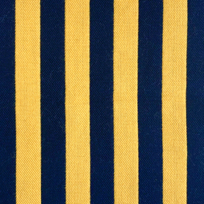 GASTON Y DANIELA LORENZO CASTILLO VI BENJAMIN - AMARILLO/NAVY LCT1057.004.0