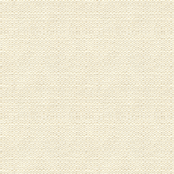 KRAVET BASICS GUARANTEED IN STOCK KRAVET BASICS - 31415-101 upholstery fabric swatch for sample-first furniture planning