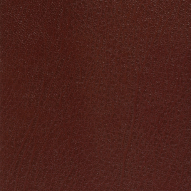KRAVET BASICS KRAVET BASICS - CELINE-9 CELINE.9.0