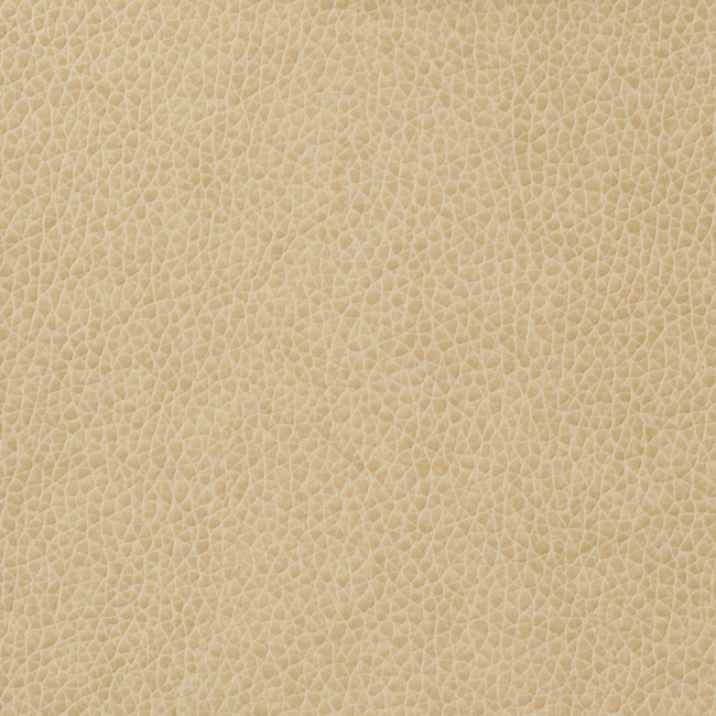 KRAVET BASICS KRAVET BASICS - MATTER-1116 MATTER.1116.0