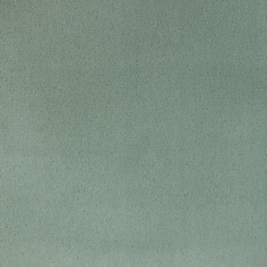 Contract Fomo - Agave upholstery fabric swatch