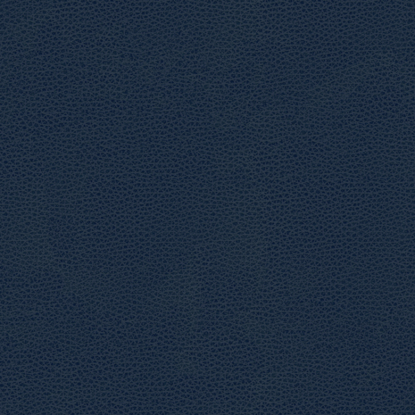 KRAVET CONTRACT KRAVET CONTRACT - BESS-5 upholstery fabric swatch for sample-first furniture planning