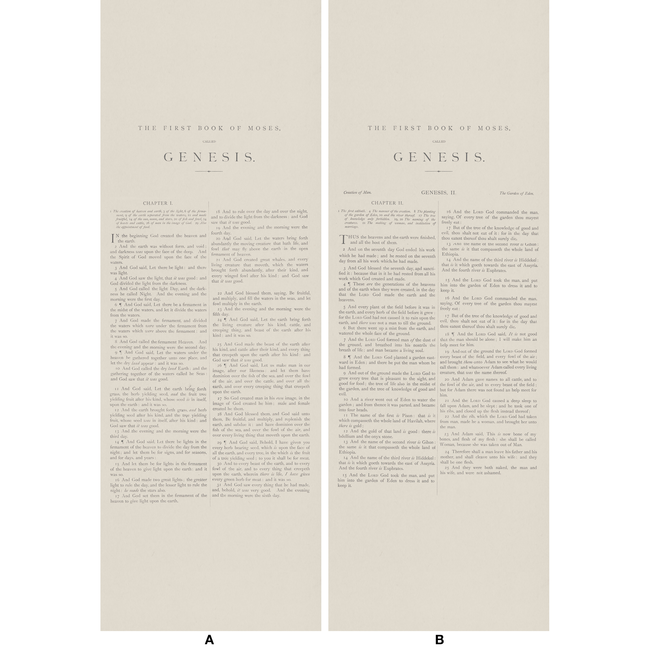 KRAVET COUTURE ANDREW MARTIN ANDREW MARTIN SCHOLAR GENESIS - 16 AMW10066.16.0 - Limited Stock