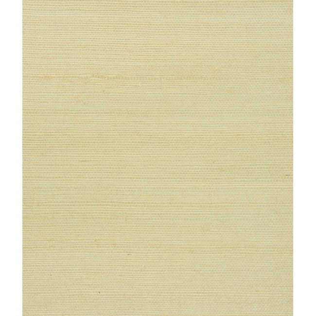 KRAVET COUTURE ECHO DESIGN KRAVET COUTURE - W3106-16 W3106.16.0