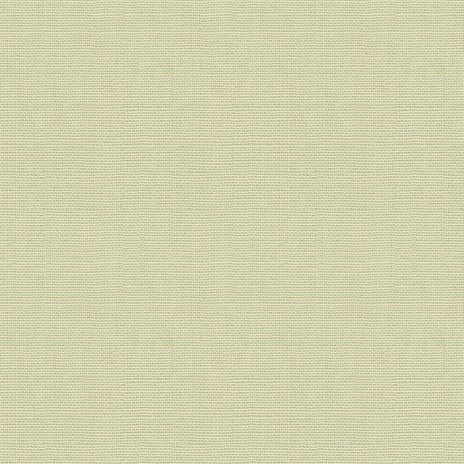 KRAVET DESIGN BARRY LANTZ CANVAS TO CLOTH CRISSIE - LINEN 35977.2111.0