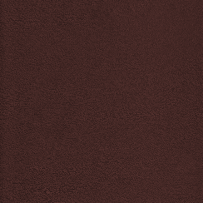 KRAVET DESIGN BLEACH CLEANABLE LEATHER KRAVET DESIGN - L-HOWDY-LATTE L-HOWDY.LATTE.0