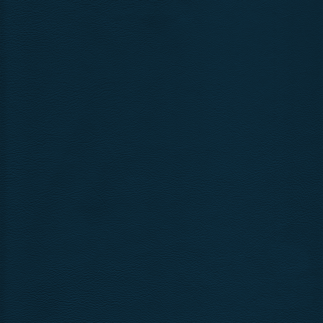 KRAVET DESIGN BLEACH CLEANABLE LEATHER KRAVET DESIGN - L-HOWDY-OCEAN L-HOWDY.OCEAN.0