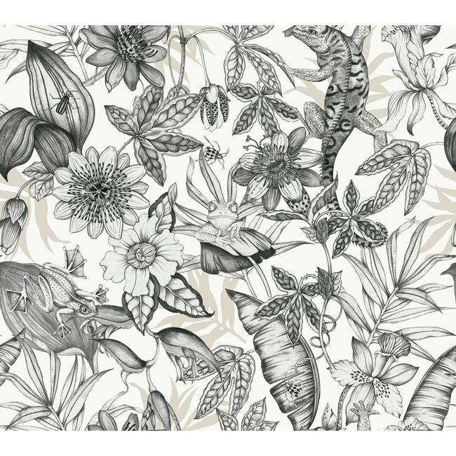 KRAVET DESIGN BLOOMS SECOND EDITION RESOURCE LIBRARY KRAVET DESIGN - W4131-8 W4131.8.0