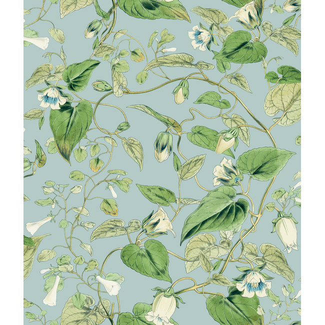 KRAVET DESIGN BLOOMS SECOND EDITION RESOURCE LIBRARY KRAVET DESIGN - W4132-153 W4132.153.0