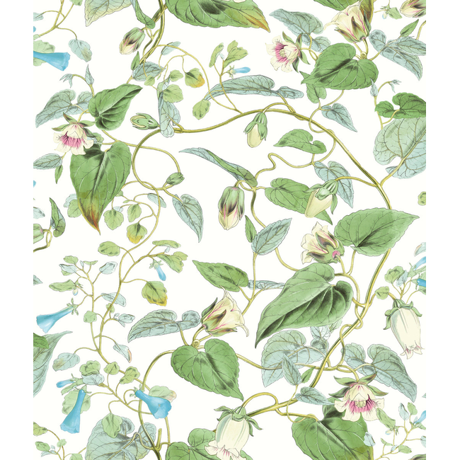 KRAVET DESIGN BLOOMS SECOND EDITION RESOURCE LIBRARY KRAVET DESIGN - W4132-31 W4132.31.0