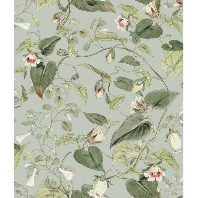 KRAVET DESIGN BLOOMS SECOND EDITION RESOURCE LIBRARY KRAVET DESIGN - W4132-311 W4132.311.0