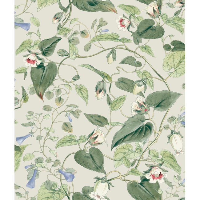 KRAVET DESIGN BLOOMS SECOND EDITION RESOURCE LIBRARY KRAVET DESIGN - W4132-315 W4132.315.0