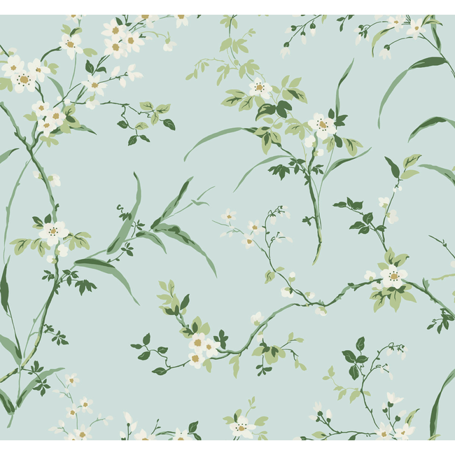 KRAVET DESIGN BLOOMS SECOND EDITION RESOURCE LIBRARY KRAVET DESIGN - W4135-13 W4135.13.0