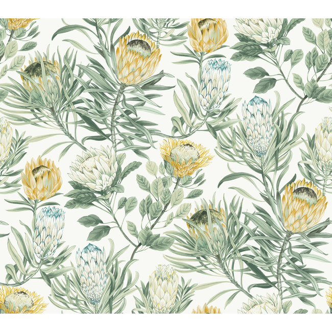 KRAVET DESIGN BLOOMS SECOND EDITION RESOURCE LIBRARY KRAVET DESIGN - W4136-4 W4136.4.0