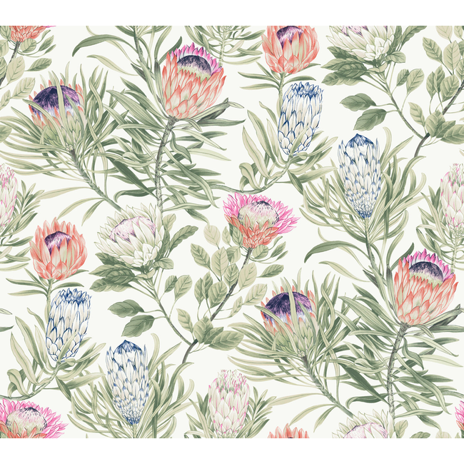 KRAVET DESIGN BLOOMS SECOND EDITION RESOURCE LIBRARY KRAVET DESIGN - W4136-710 W4136.710.0
