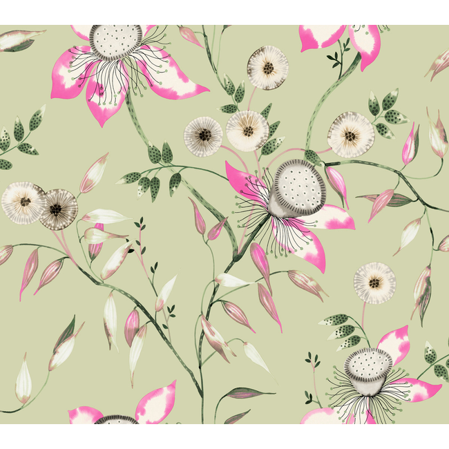 KRAVET DESIGN BLOOMS SECOND EDITION RESOURCE LIBRARY KRAVET DESIGN - W4140-317 W4140.317.0