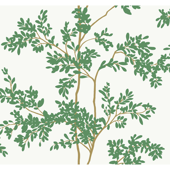 KRAVET DESIGN BLOOMS SECOND EDITION RESOURCE LIBRARY KRAVET DESIGN - W4141-3 W4141.3.0