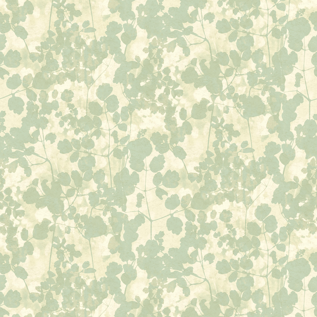 KRAVET DESIGN CANDICE OLSON KRAVET DESIGN - W3791-135 W3791.135.0
