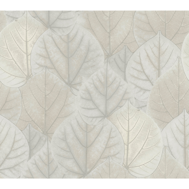 KRAVET DESIGN CANDICE OLSON MODERN NATURE 2ND EDITION KRAVET DESIGN - W3880-1101 W3880.1101.0