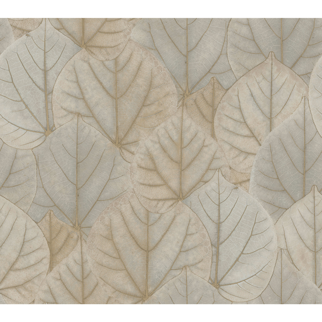KRAVET DESIGN CANDICE OLSON MODERN NATURE 2ND EDITION KRAVET DESIGN - W3880-1611 W3880.1611.0
