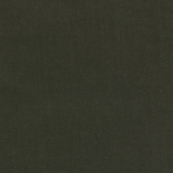 KRAVET DESIGN LIZZO ETERNAL - 29 upholstery fabric swatch for sample-first furniture planning