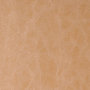 Randwick - Buckskin upholstery fabric swatch