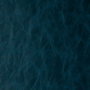 Randwick - Neptune upholstery fabric swatch