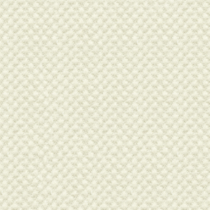 Sunbrella Indoor / Outdoor upholstery fabric swatch