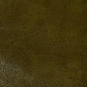 Contract Rambler - Olive Branch upholstery fabric swatch