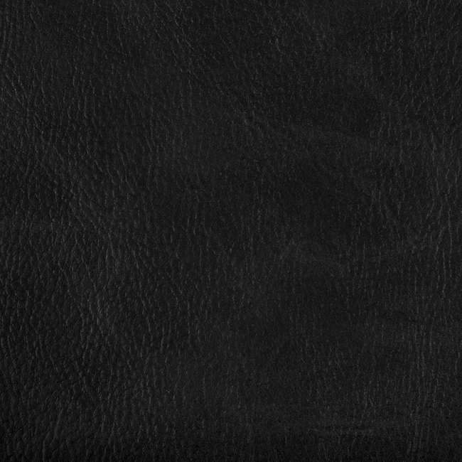 Kravet Contract TONI - STALLION TONI.8.0