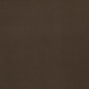 Designer Lizzo Guru - 01 upholstery fabric swatch