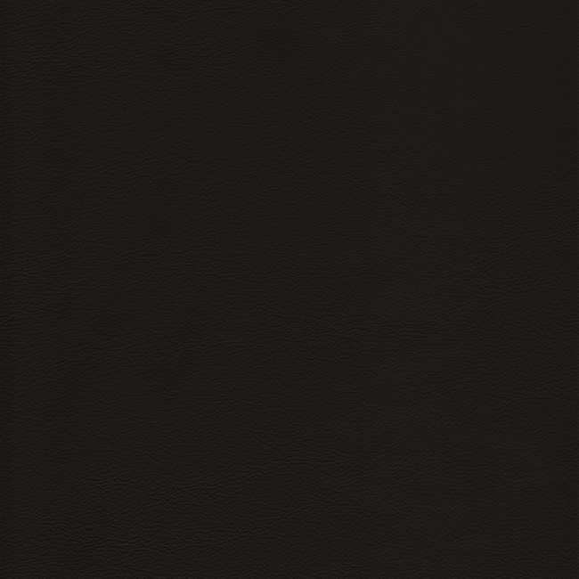 Kravet Design KRAVET DESIGN - L-HOWDY-CAPPUCCINO L-HOWDY.CAPPUCCINO.0
