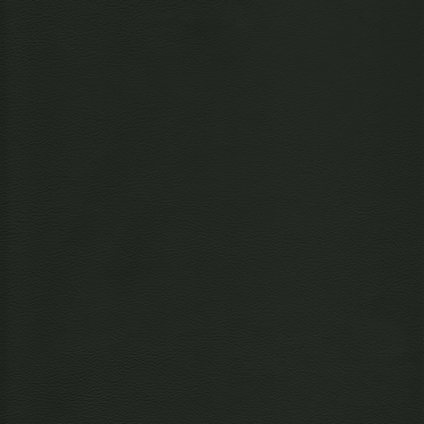 Kravet Design KRAVET DESIGN - L-HOWDY-EVERGREEN upholstery fabric swatch for sample-first furniture planning