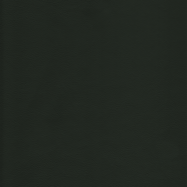 Kravet Design KRAVET DESIGN - L-HOWDY-EVERGREEN L-HOWDY.EVERGREEN.0