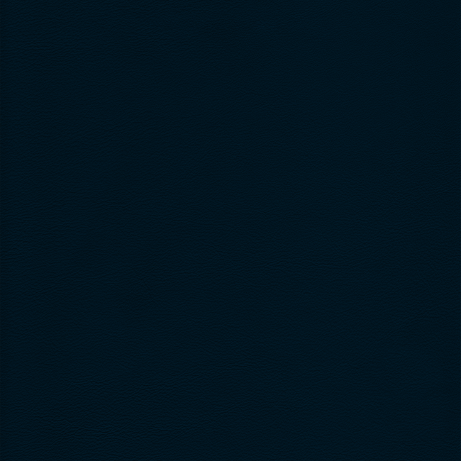 Kravet Design KRAVET DESIGN - L-HOWDY-INDIGO L-HOWDY.INDIGO.0