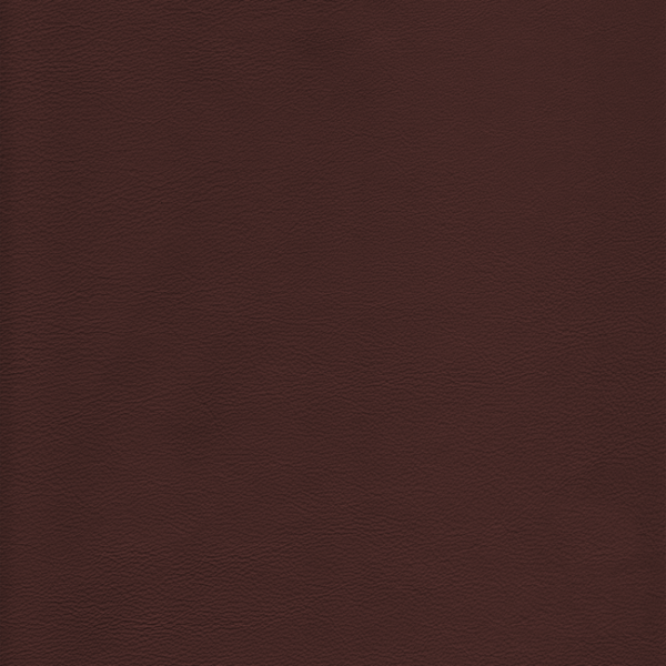 Kravet Design KRAVET DESIGN - L-HOWDY-LATTE upholstery fabric swatch for sample-first furniture planning