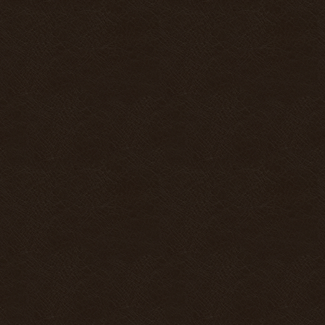 Kravet Design KRAVET DESIGN - L-TIMELESS-EBONY L-TIMELESS.EBONY.0