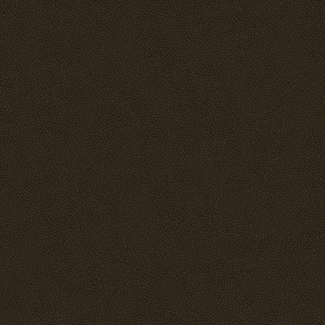 Kravet Design KRAVET DESIGN - PIETRA-66 PIETRA.66.0
