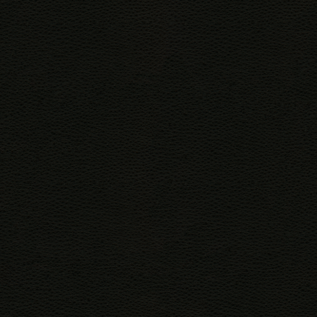 Kravet Design KRAVET DESIGN - RIGEL-8 RIGEL.8.0