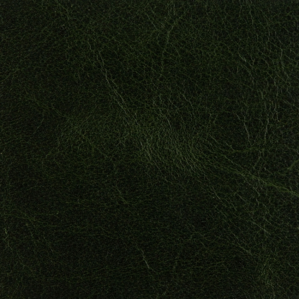 Kravet Design L-ARIZONA - FOREST upholstery fabric swatch for sample-first furniture planning