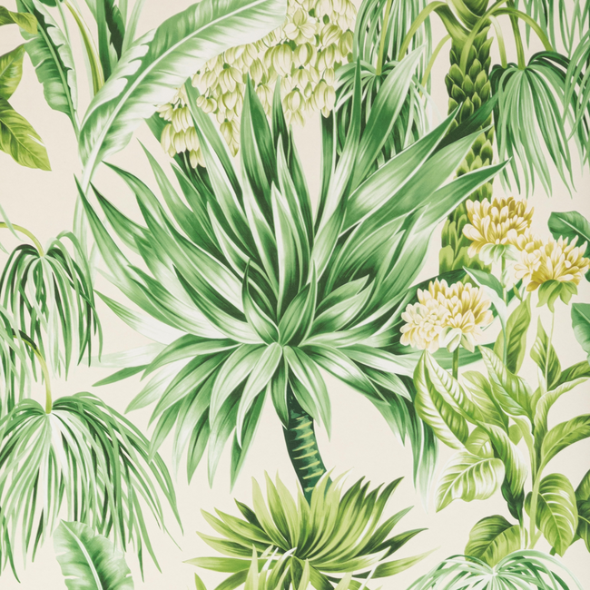 LEE JOFA MINDORO WALLPAPER CALUYA PAPER - PALM P2020104.3034.0