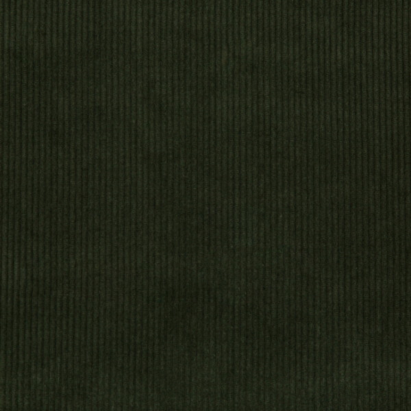 Lee Jofa SARANAC CORD - LODEN upholstery fabric swatch for sample-first furniture planning