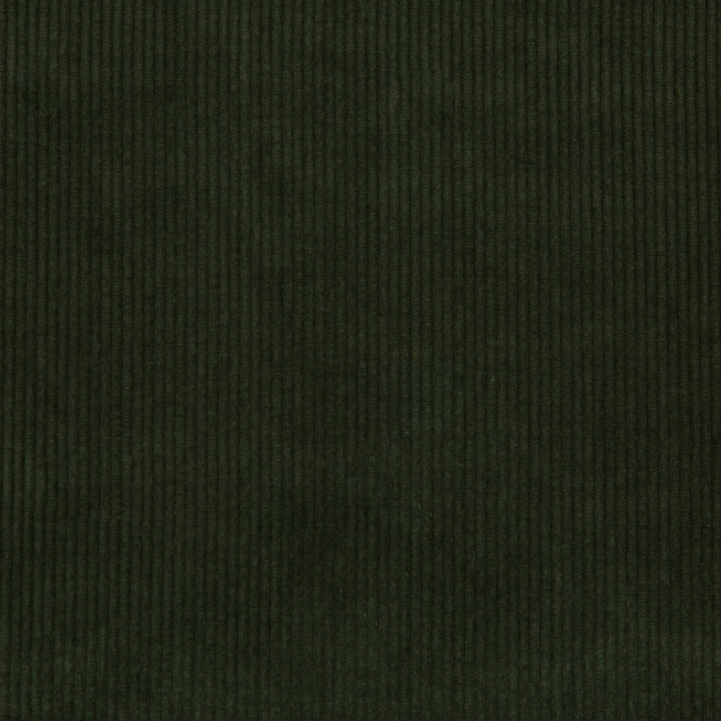 Lee Jofa SARANAC CORD - LODEN 2017121.30.0