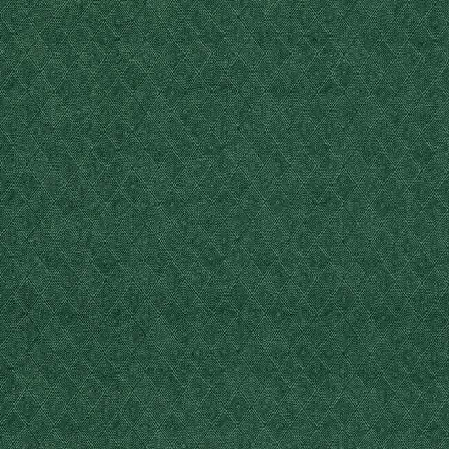 THREADS NALA PRINTS BOUNDARY - EMERALD ED75042.5.0