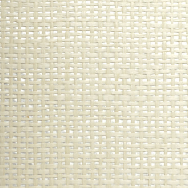 WINFIELD THYBONY BARCLAY BUTERA BARCLAY BUTERA PLAINS PAPERWEAVE - 0 WBG5110.WT.0