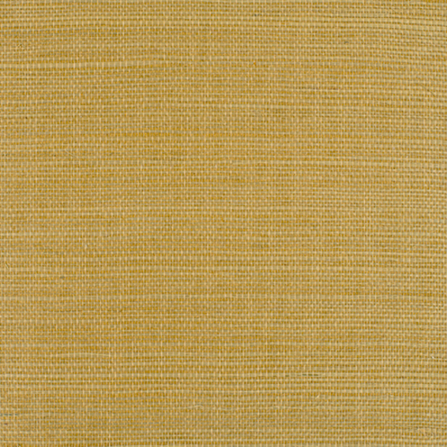 WINFIELD THYBONY BERMUDA - SANDP WIW2512P.WT.0