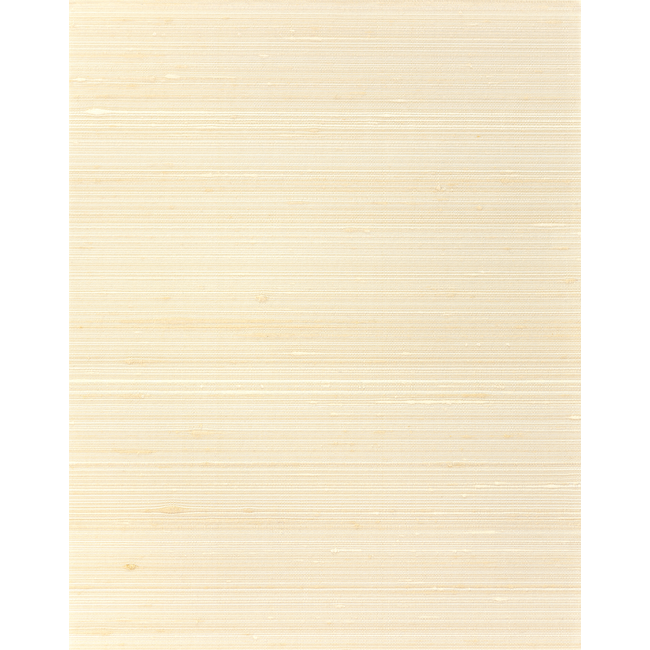 WINFIELD THYBONY CLASSIC ELEGANCE GRAYSON - NUDE WNS5523.WT.0