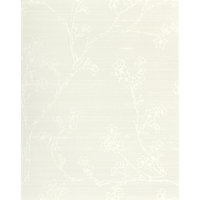 WINFIELD THYBONY CLASSIC ELEGANCE KAISA - COCONUT WNS5512.WT.0