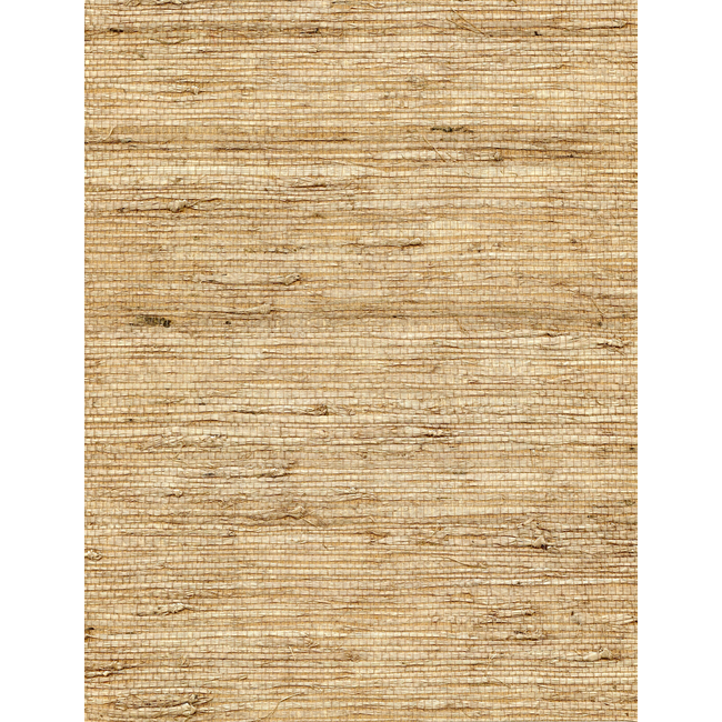 WINFIELD THYBONY CONCERTO - LATTE WNW2262.WT.0